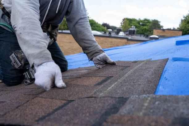 Best Roof Gutter Cleaning  in Jefferson, TX