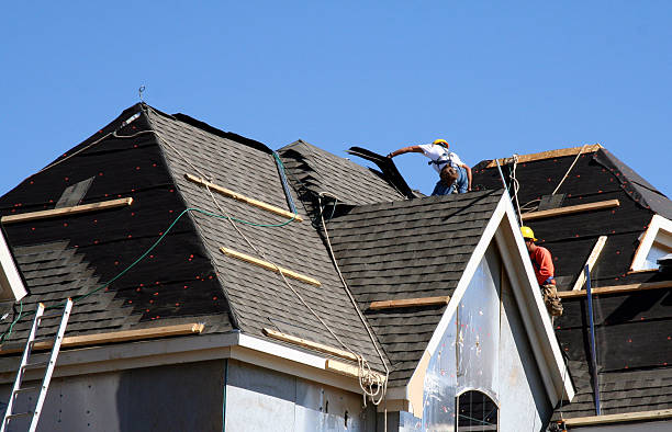 Best Roof Gutter Cleaning  in Jefferson, TX